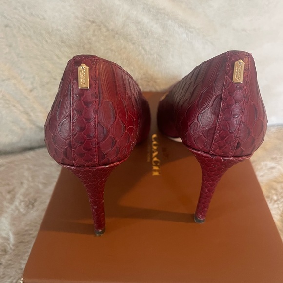 Coach Smith Cut Snake black cherry heels - Picture 6 of 6